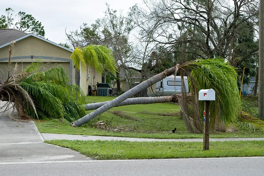 consequences-natural-disaster