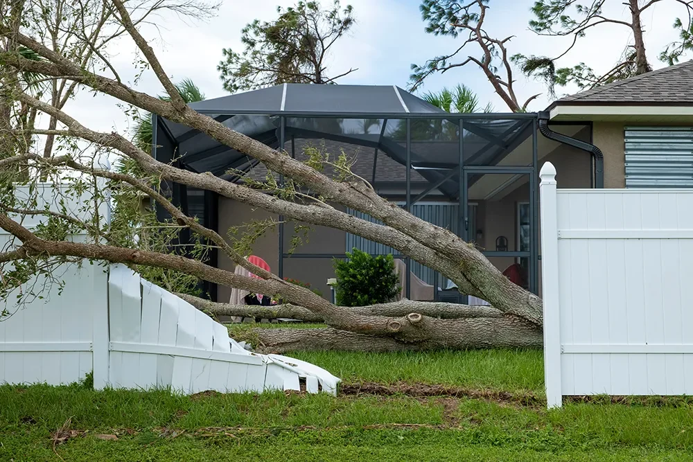 debris-fell-down-it-florida (1)