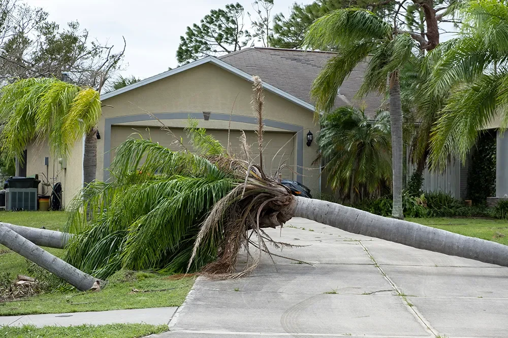 florida-consequences-natural-disaster
