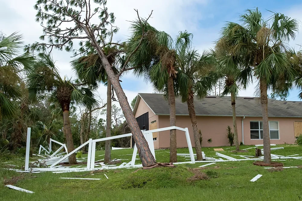 tree-debris-fell-down-it-florida